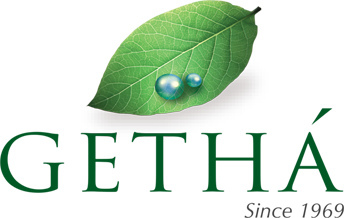 getha nursing pillow